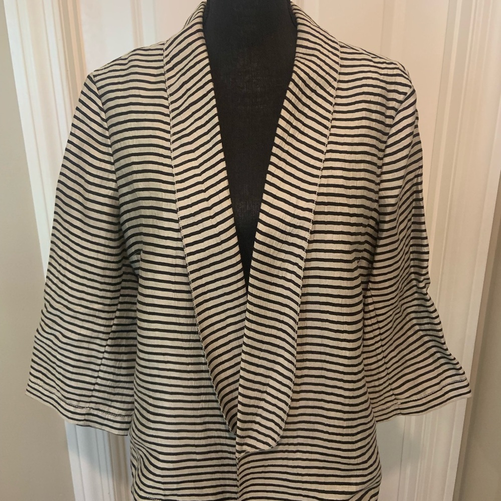 Ann Taylor striped blazer